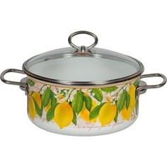Кастрюля эмалированная 3.0 л Vitross Limon (1SB205S)