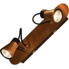 Спот Lussole LSL-6801-02
