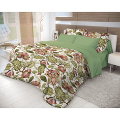 Комплект постельного белья Волшебная ночь 2-х сп, ранфорс, Nuts с простынью на резинке, с наволочками 70х70 (716342)