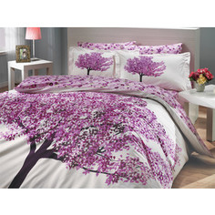 Комплект постельного белья Hobby home collection 2-х сп, поплин, Florentina, фиолетовый (1501000653)