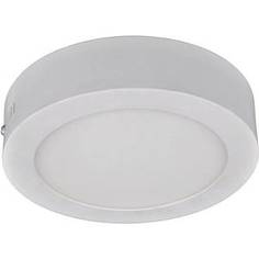 Потолочный светодиодный светильник Artelamp A3012PL-1WH