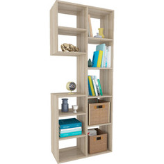 Стеллаж Мастер Рикс-2 дуб сонома