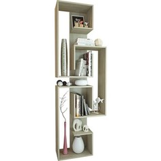 Стеллаж Мастер Зет-5 (дуб сонома) МСТ-СТЗ-05-ДС-16