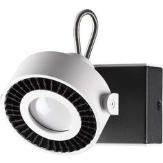 Спот Odeon 3490/1W