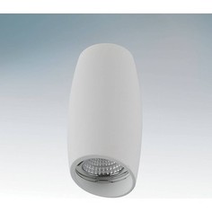 Точечный светильник Lightstar 214466