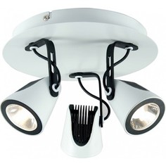 Спот Lussole LSN-4101-03