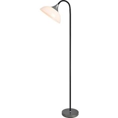 Торшер Lussole LSP-0508