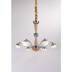 Люстра Lucia Tucci Natura 067.6 LED