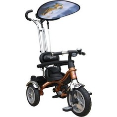 Велосипед трехколесный Lexus Trike Grand Air (MS-0585) бронза