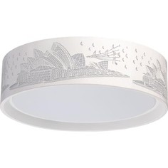 Потолочный светодиодный светильник MW-Light 674016001