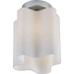 Потолочный светильник ST-Luce SL116.502.01