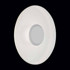 Уличный настенный светильник ST-Luce SL925.501.01