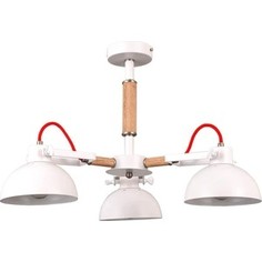 Потолочная люстра Vele Luce VL1431L03