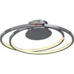 Потолочный светодиодный светильник ST-Luce SL918.102.02