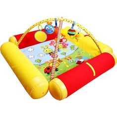 Развивающий коврик Biba Toys Друзья Бюсси с надувными бортиками120*120 см GD158
