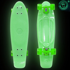 RT 402E-G Скейтборд Big Fishskateboard GLOW 27 винил 68,6х19 с сумкой GREEN/green
