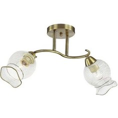 Потолочная люстра Lumion 3109/2C