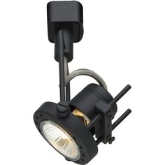 Спот Artelamp A4300PL-1BK
