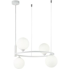 Подвесная люстра Maytoni MOD013PL-04W