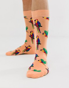 Носки с попугаем Happy Socks - Бежевый