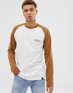 Лонгслив с коричневыми рукавами реглан Dickies - Коричневый