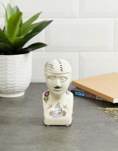 Шкатулка в виде френологической головы Temerity Jones - Мульти