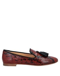 Мокасины Giuseppe Zanotti