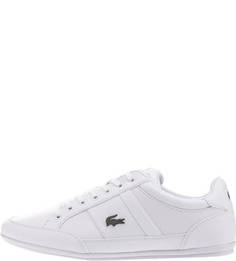 Белые кроссовки с тонкой подошвой Chaymon Lacoste