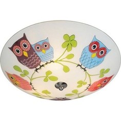 Потолочный светильник MarkSloid 104894