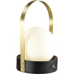 Настольная лампа Odeon 4076/5TL