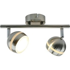 Светодиодный спот Artelamp A6009PL-2SS