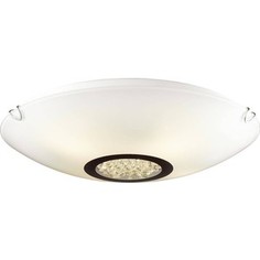 Потолочный светильник Favourite 1694-3C