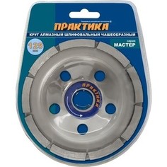 Чашка алмазная шлифовальная Практика Мастер 1 - ряд 125х22 мм (779 - 592)