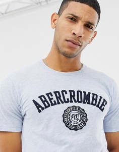 Синяя футболка с логотипом Abercrombie & Fitch - Синий