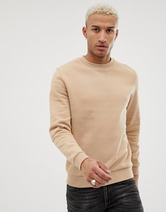 Бежевый свитшот ASOS DESIGN - Бежевый