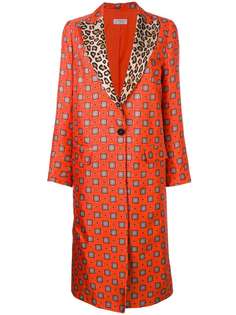 Одежда Alberto Biani