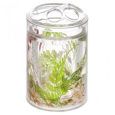 Стакан Vanstore Маки 867-06