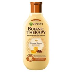 GARNIER шампунь Botanic Therapy