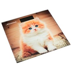 Весы Аксинья КС-6000