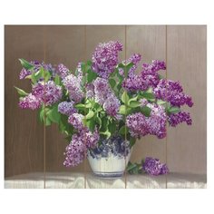 Molly Картина по номерам Сирень