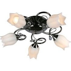 Потолочная люстра Omnilux OML-39707-05