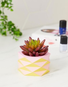 Розовый горшок для растений Ian Snow - Мульти