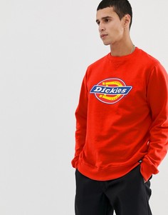 Красный свитшот с большим логотипом Dickies Harrison - Красный