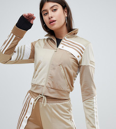 Спортивный топ цвета бежевого хаки adidas Originals X Danielle Cathari - Бежевый