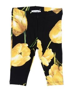 Легинсы Dolce & Gabbana