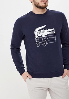 Свитшот Lacoste