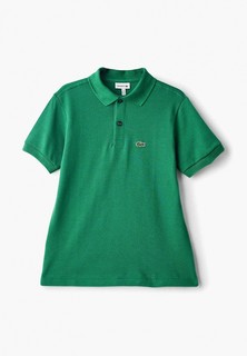 Поло Lacoste