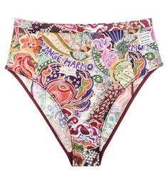 Разноцветные трусы-слипы Tommy X Zendaya