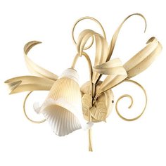 Favourite Fioraia 1372-3U