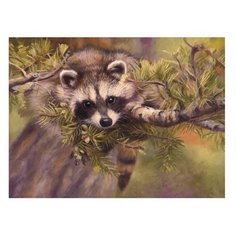 Molly Картина по номерам Енотик